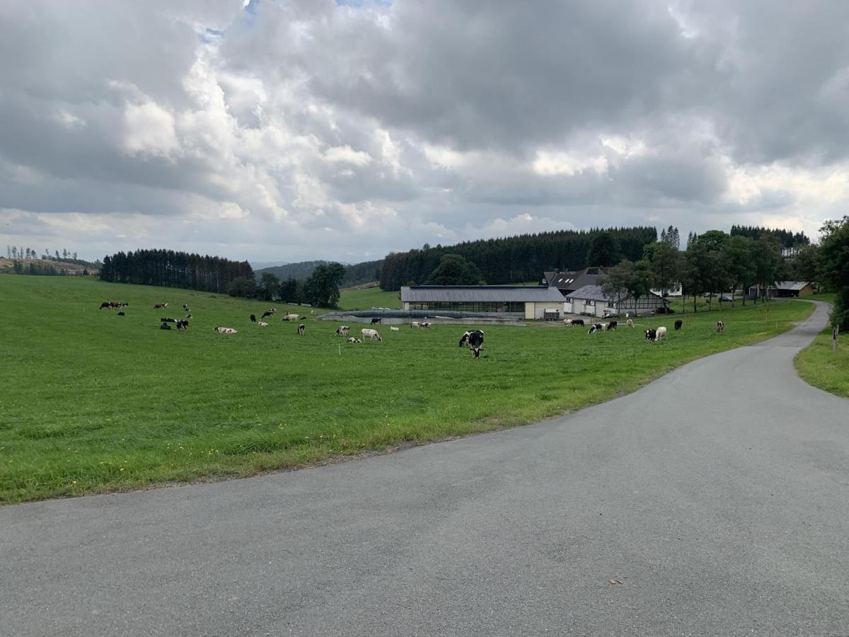 Pension Wittgensteiner Schweiz 바트베르레부르크 외부 사진